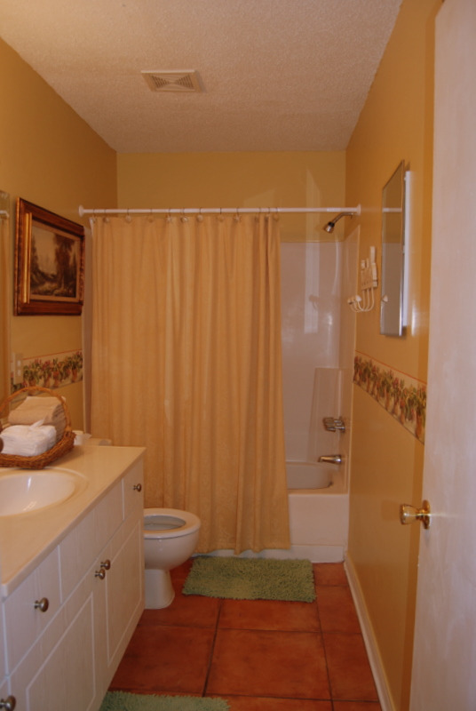 Temporary Housing - The Master Bathroom